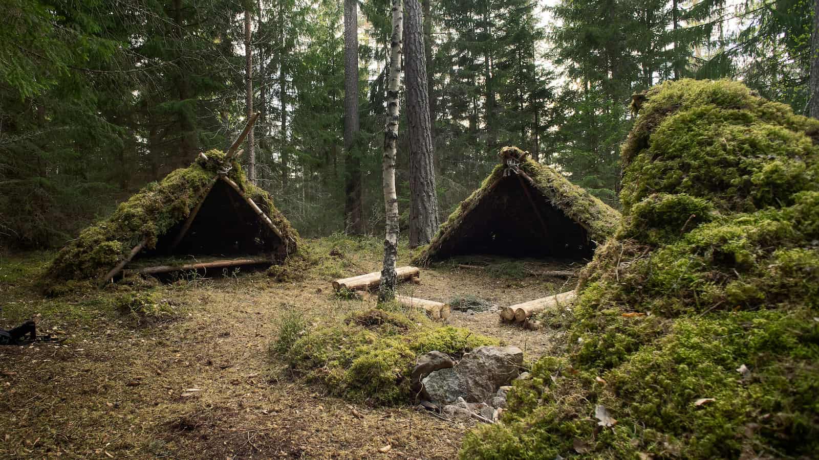 Bushcraft-Shelter aus Naturmaterialien im Wald – Symbolbild für Outdoor-Survival und Krisenvorsorge