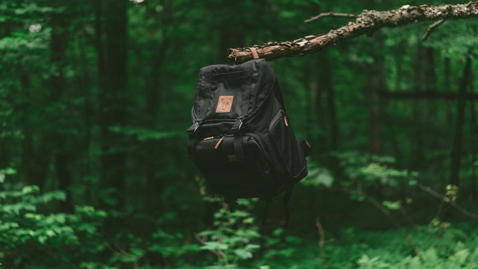 Schwarzer Rucksack hängt an einem Ast im Wald – Bug Out Bag bereit für den Ernstfall