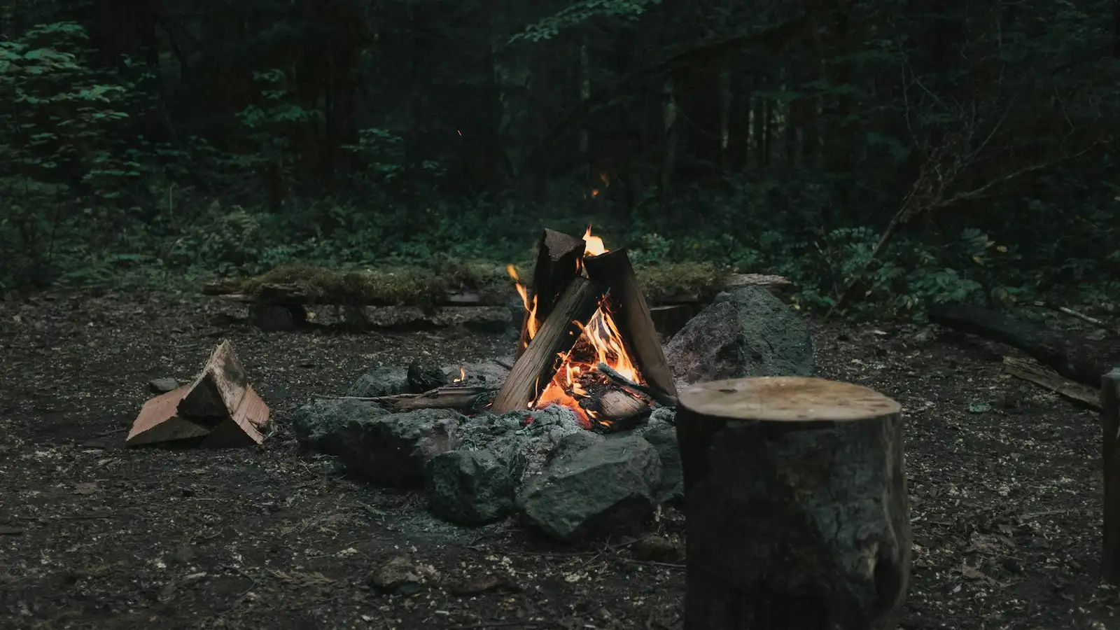 Lagerfeuer im Wald – Anleitung Feuer machen mit Feuerstahl