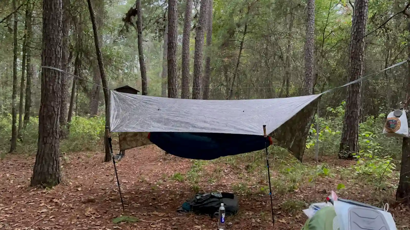 Aufgezogenes Tarp zwischen Bäumen im Wald – Symbolbild für Survival Shelter und Bushcraft-Unterkunft